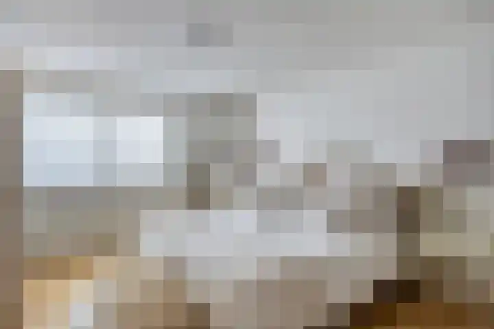 Spoorven 627 Veghel thumbnail 20
