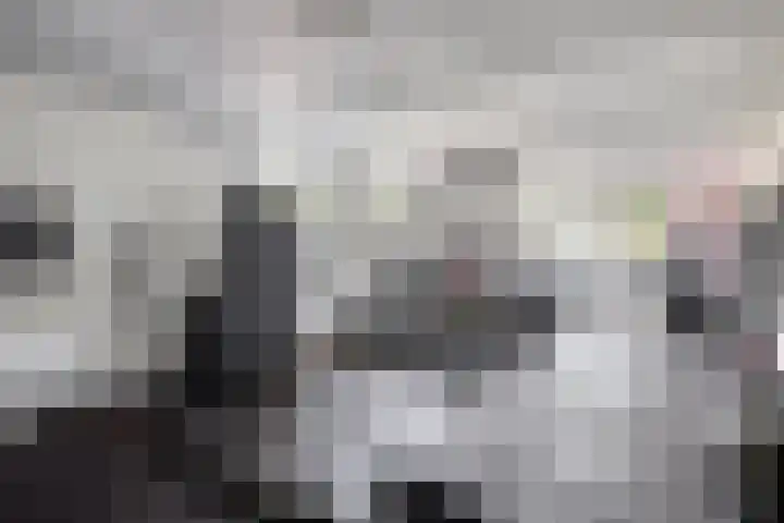 Spoorven 627 Veghel thumbnail 34