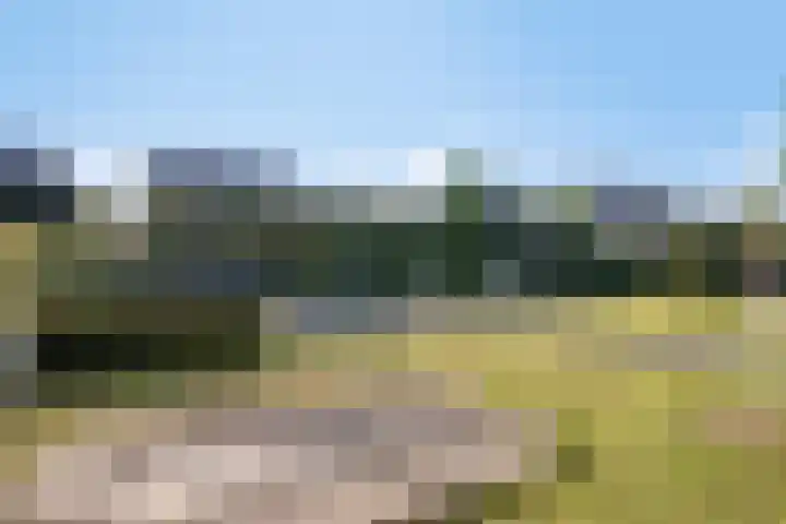 Spoorven 627 Veghel thumbnail 39