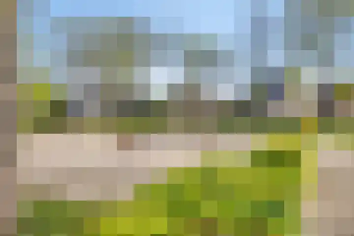 Spoorven 627 Veghel thumbnail 44