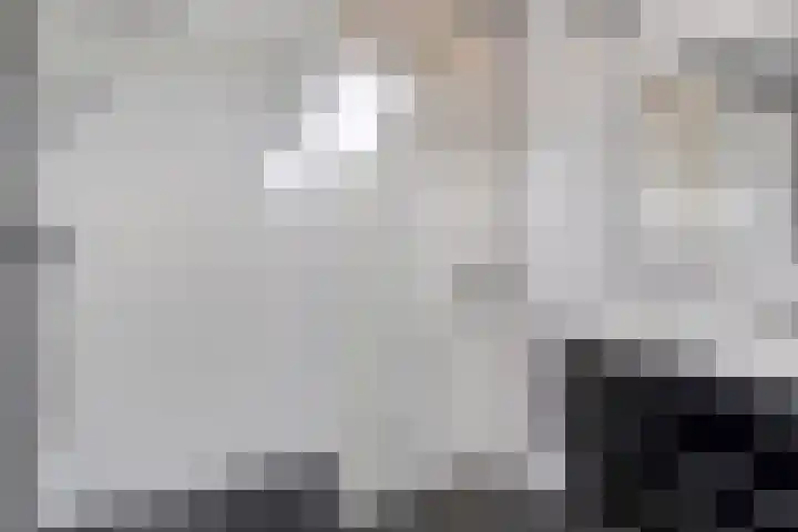 Spoorven 66 Veghel thumbnail 17