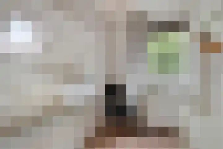 Spoorven 66 Veghel thumbnail 21