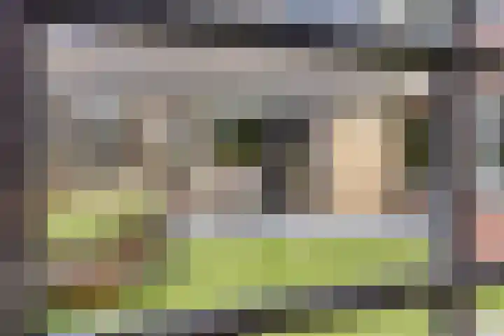 Spoorven 66 Veghel thumbnail 28