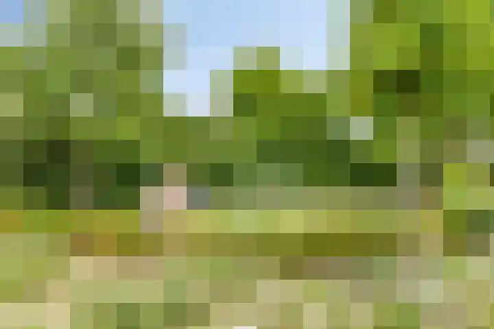 Spoorven 66 Veghel thumbnail 30