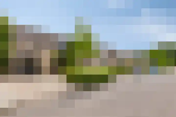 Spoorven 66 Veghel thumbnail 36