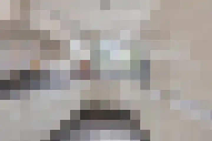 Spoorven 66 Veghel thumbnail 5