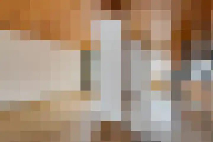 Spoorwaterlaan 20 Eindhoven thumbnail 10