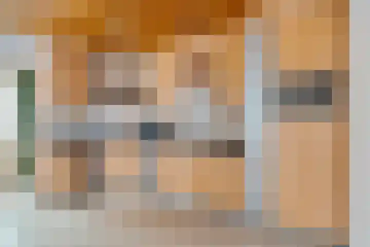 Spoorwaterlaan 20 Eindhoven thumbnail 11