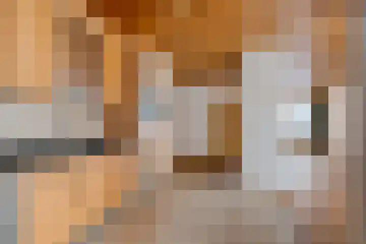 Spoorwaterlaan 20 Eindhoven thumbnail 12