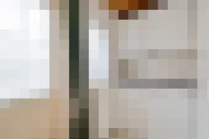 Spoorwaterlaan 20 Eindhoven thumbnail 13