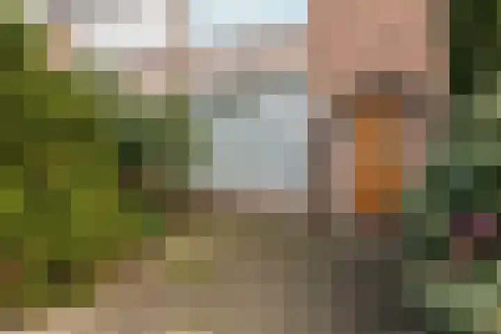 Spoorwaterlaan 20 Eindhoven thumbnail 4