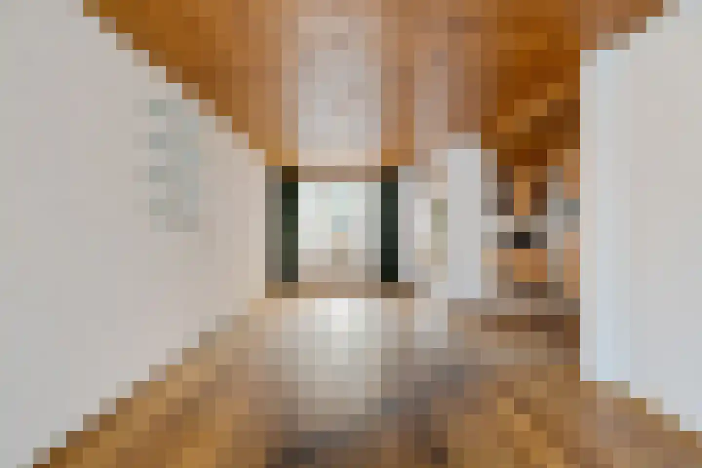 Spoorwaterlaan 20 Eindhoven thumbnail 8