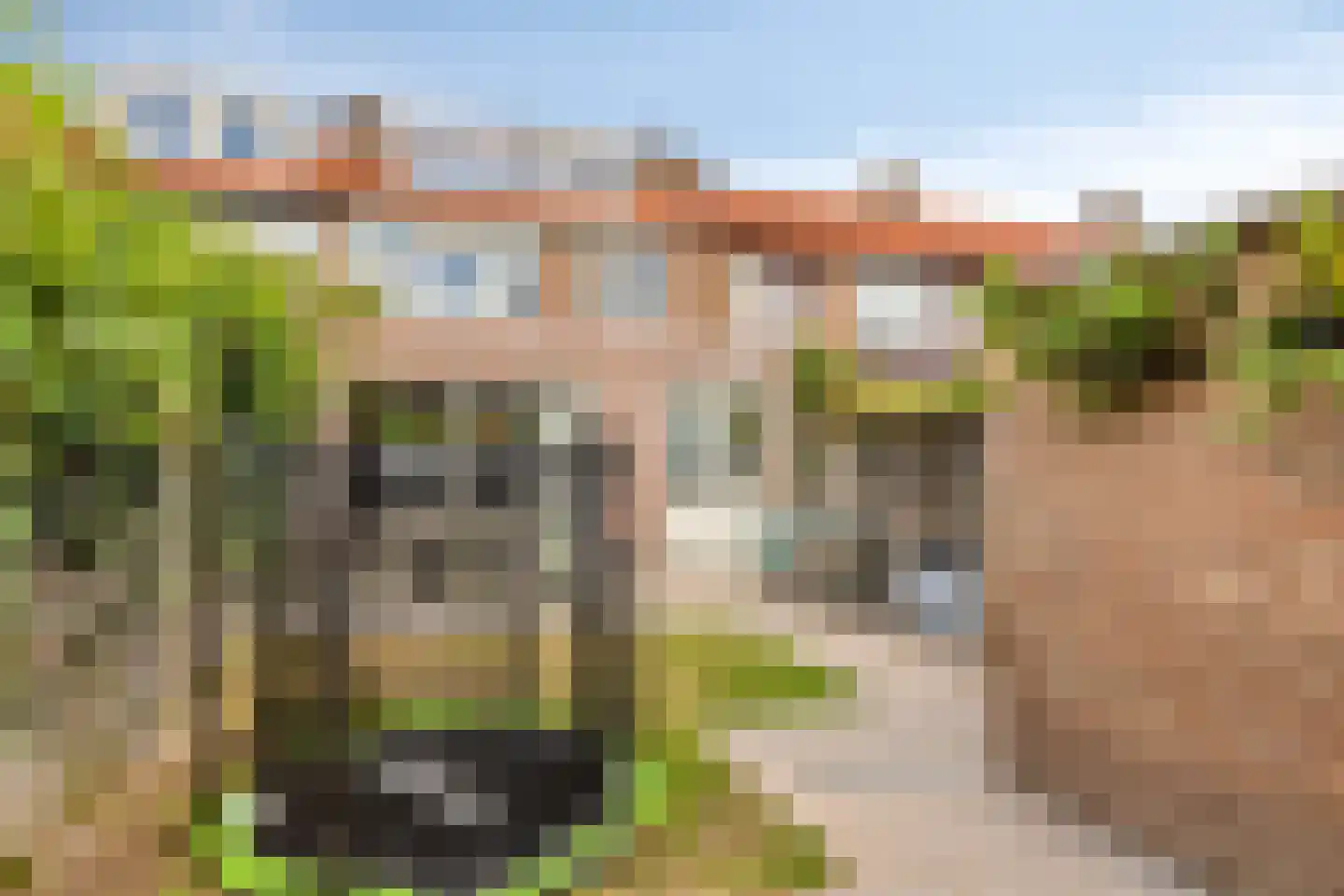Spoorwaterlaan 31 Eindhoven thumbnail 29