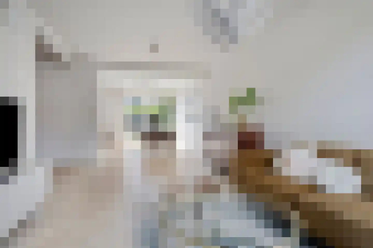 Spoorwaterlaan 31 Eindhoven thumbnail 6