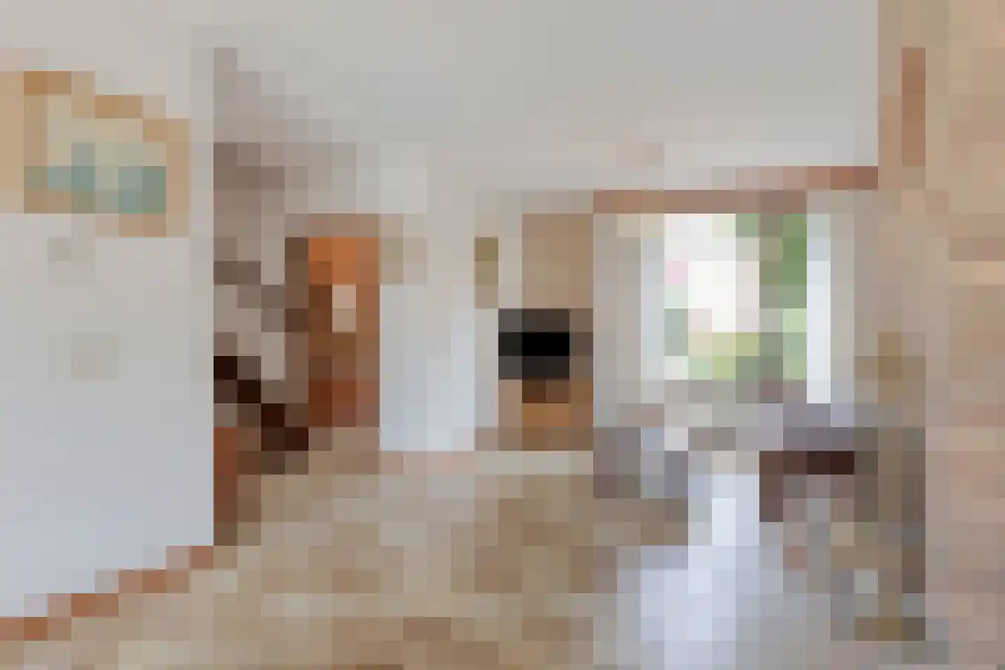 Spoorwaterlaan 43 Eindhoven thumbnail 7