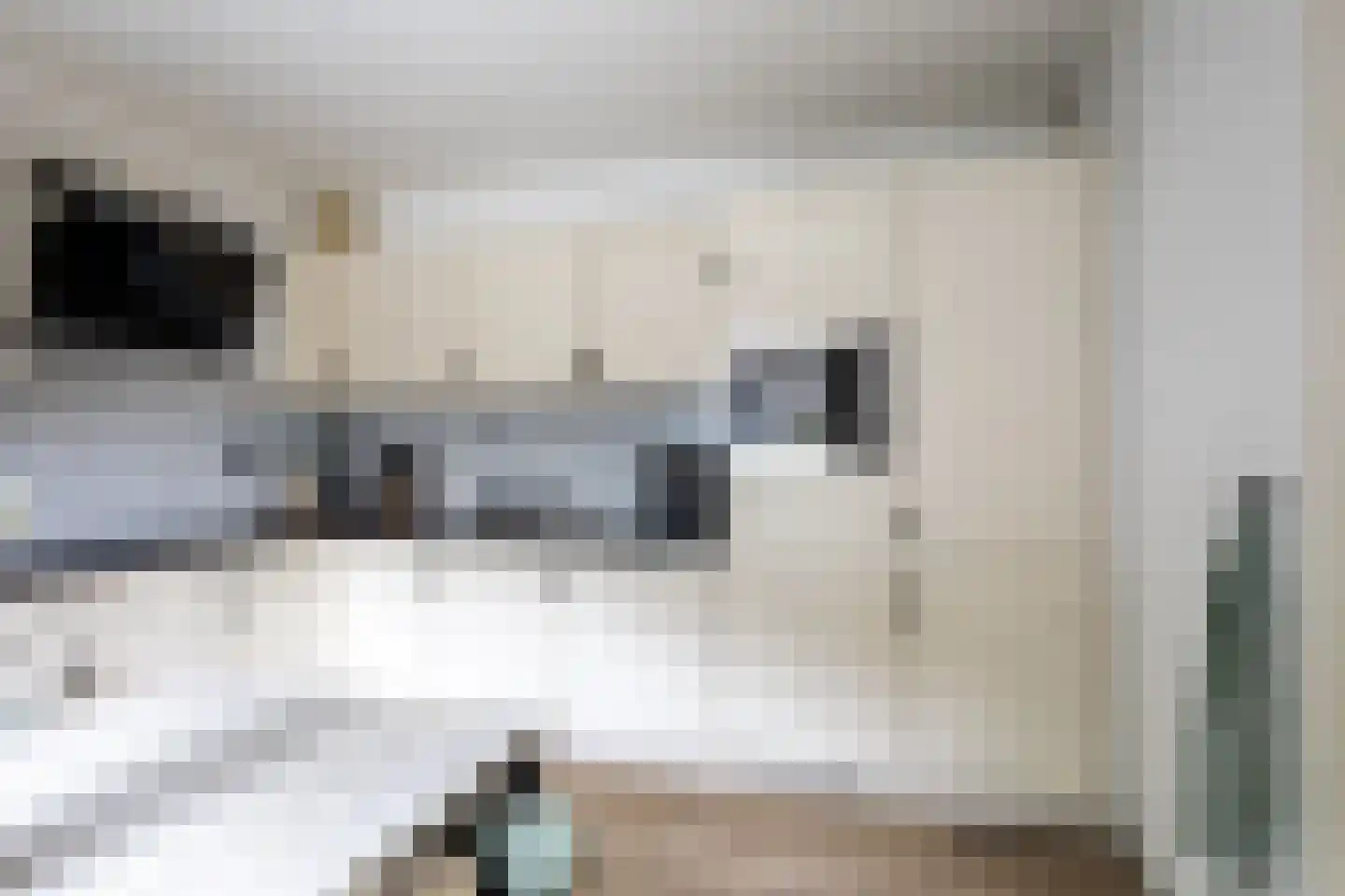 Spoorwaterstraat 22 Hulst thumbnail 12