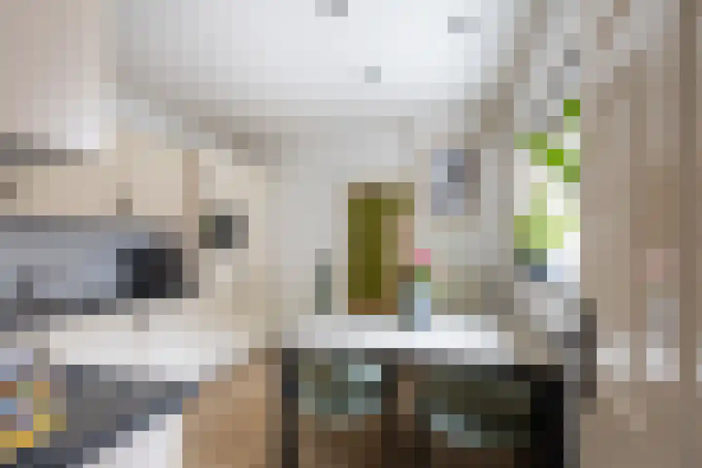 Spoorwaterstraat 22 Hulst thumbnail 13