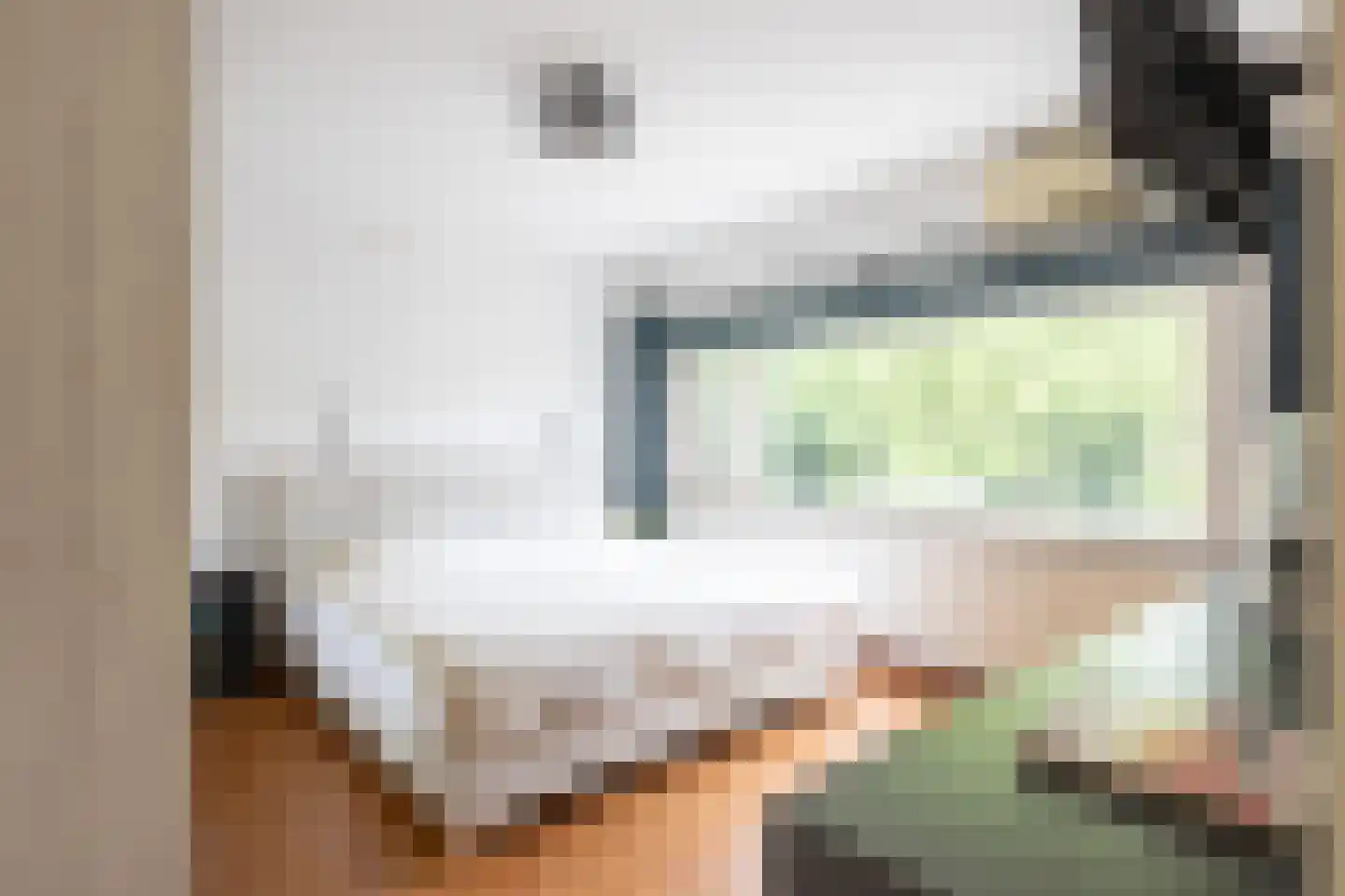 Spoorwaterstraat 22 Hulst thumbnail 15