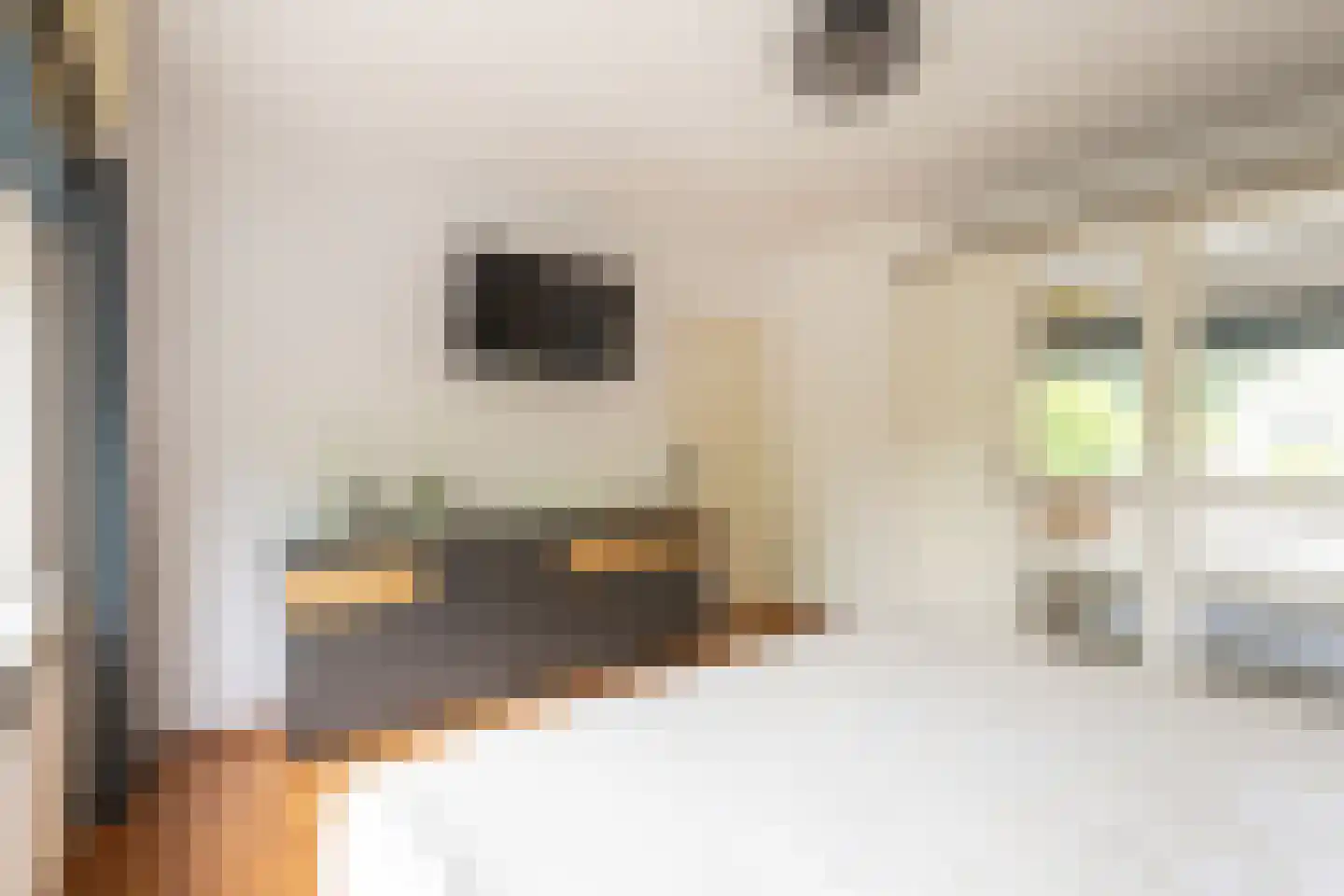 Spoorwaterstraat 22 Hulst thumbnail 16