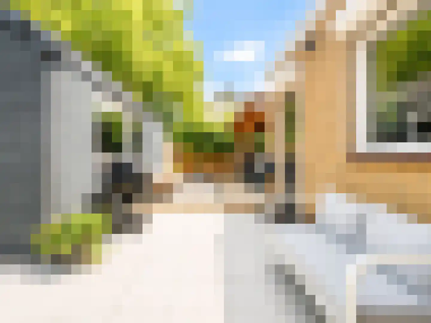 Spoorwaterstraat 22 Hulst thumbnail 26