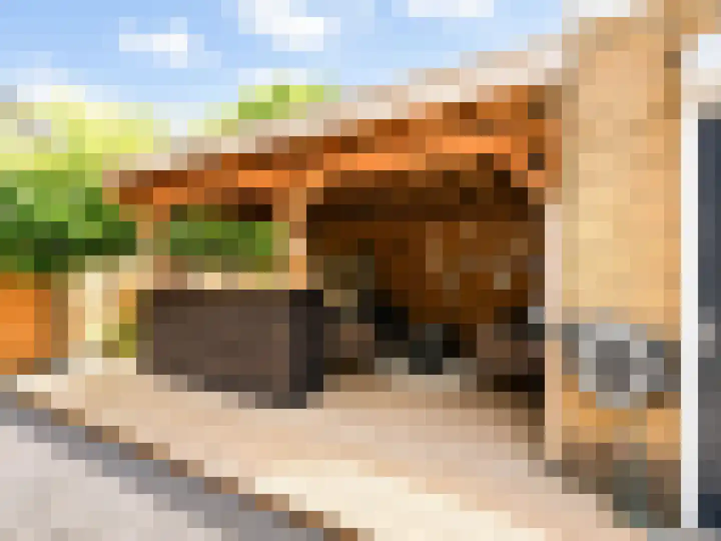 Spoorwaterstraat 22 Hulst thumbnail 32