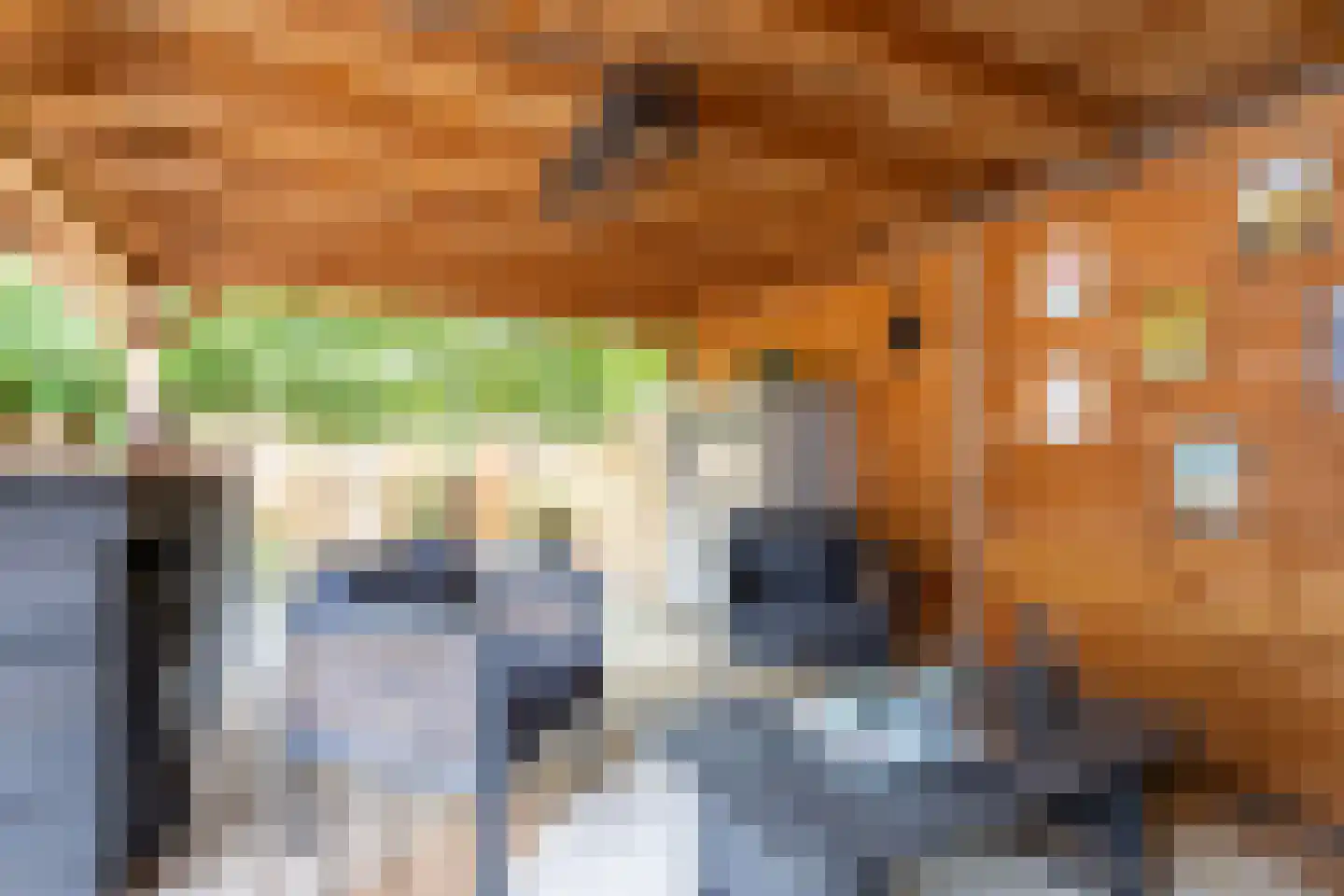Spoorwaterstraat 22 Hulst thumbnail 33