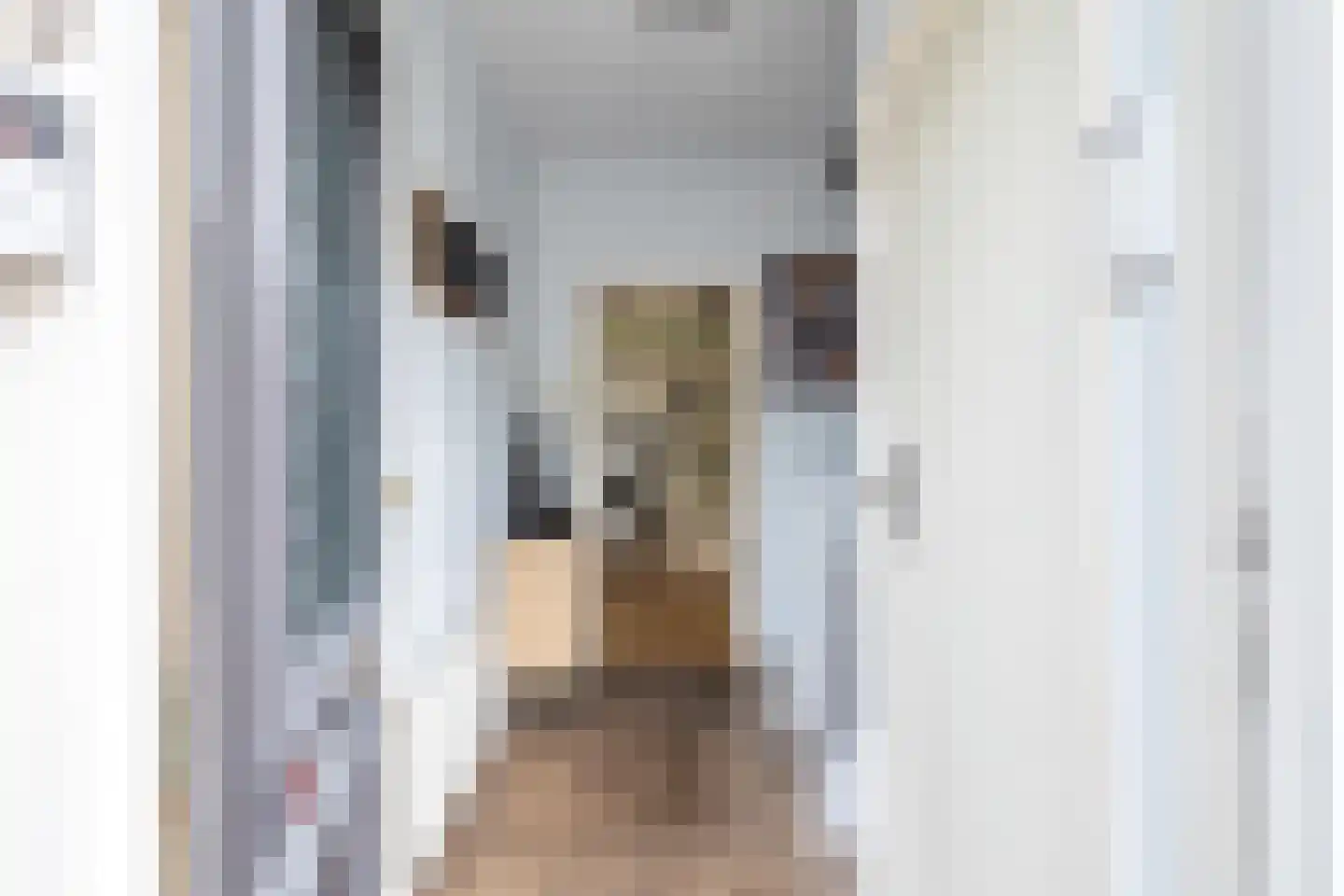 Spoorwaterstraat 22 Hulst thumbnail 5