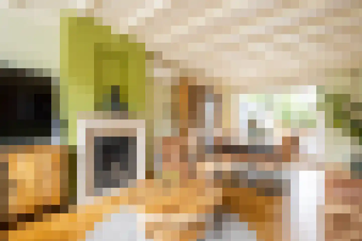 Spoorwaterstraat 22 Hulst thumbnail 9