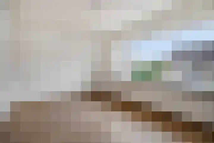 Spoorwaterstraat 24 Hulst thumbnail 19
