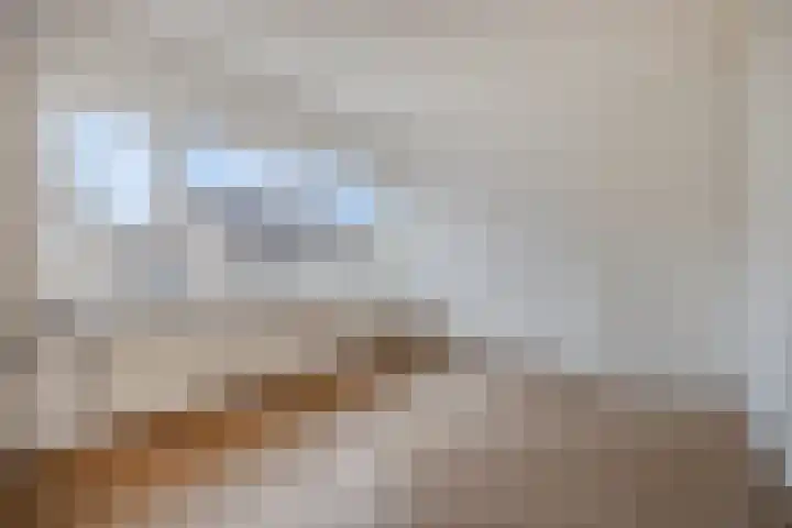 Spoorwaterstraat 24 Hulst thumbnail 20