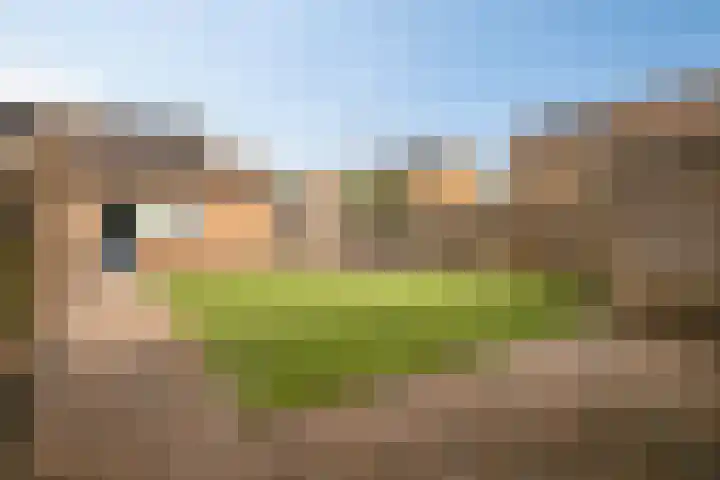 Spoorwaterstraat 24 Hulst thumbnail 24