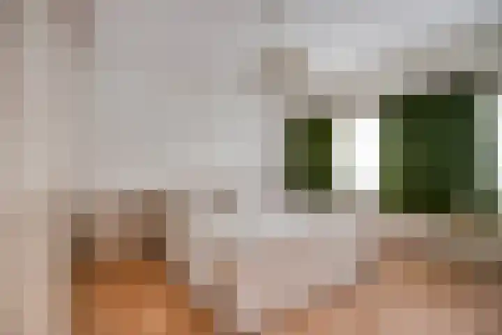 Spoorwaterstraat 30 Hulst thumbnail 14