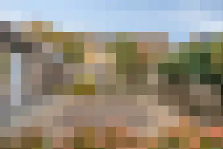 Spoorwaterstraat 30 Hulst thumbnail 4