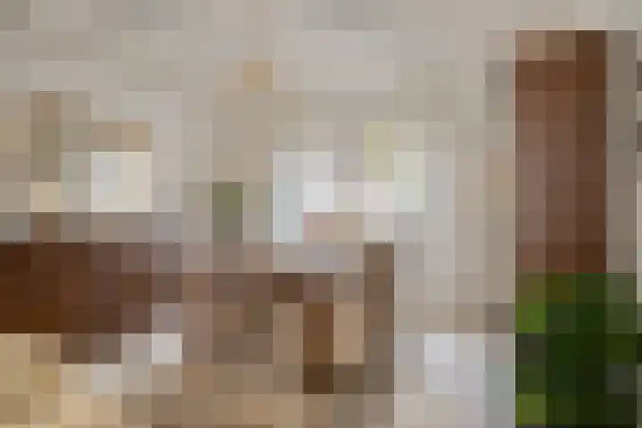 Spoorwaterstraat 30 Hulst thumbnail 8