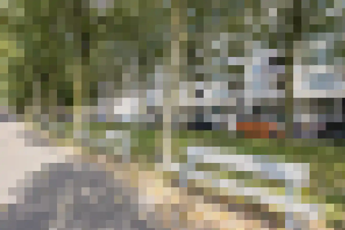Spoorweghaven 114 Rotterdam thumbnail 30
