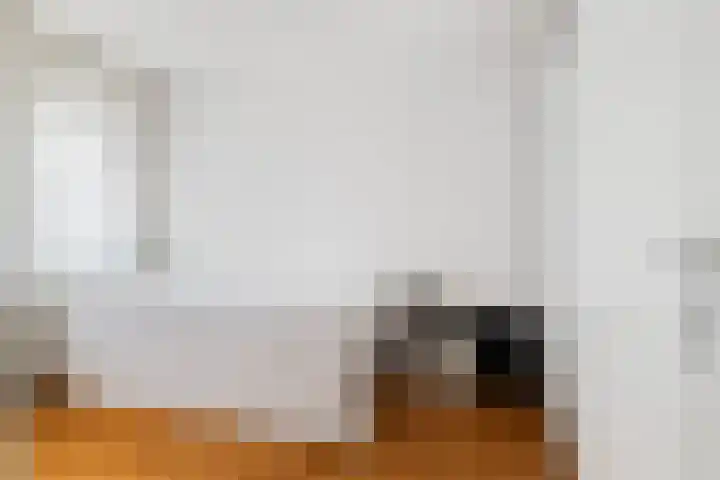 Spoorweghaven 152 Rotterdam thumbnail 14