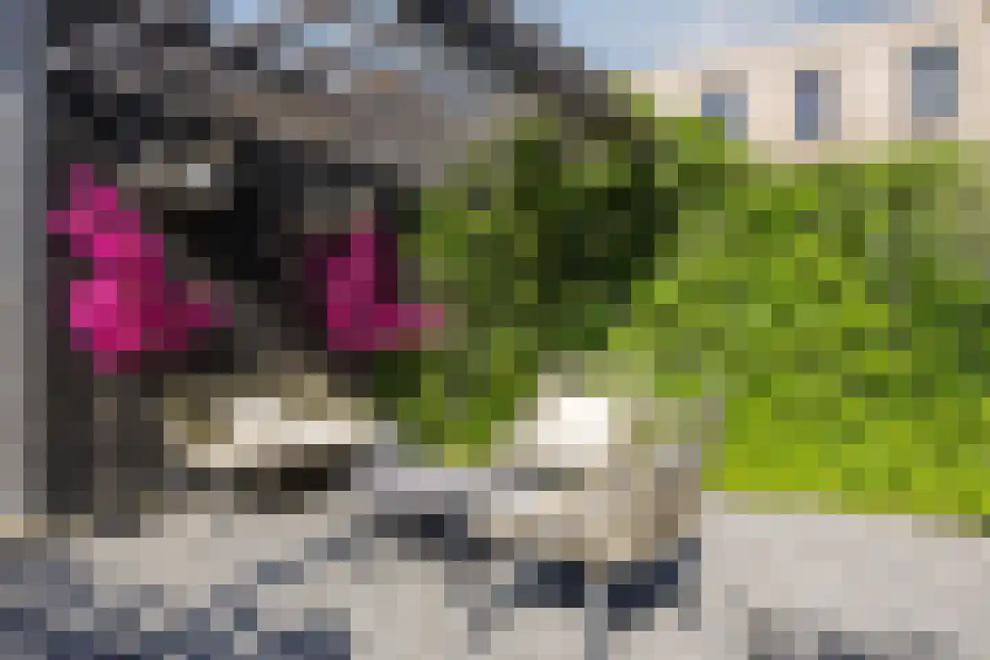 Spoorweghaven 202 Rotterdam thumbnail 20