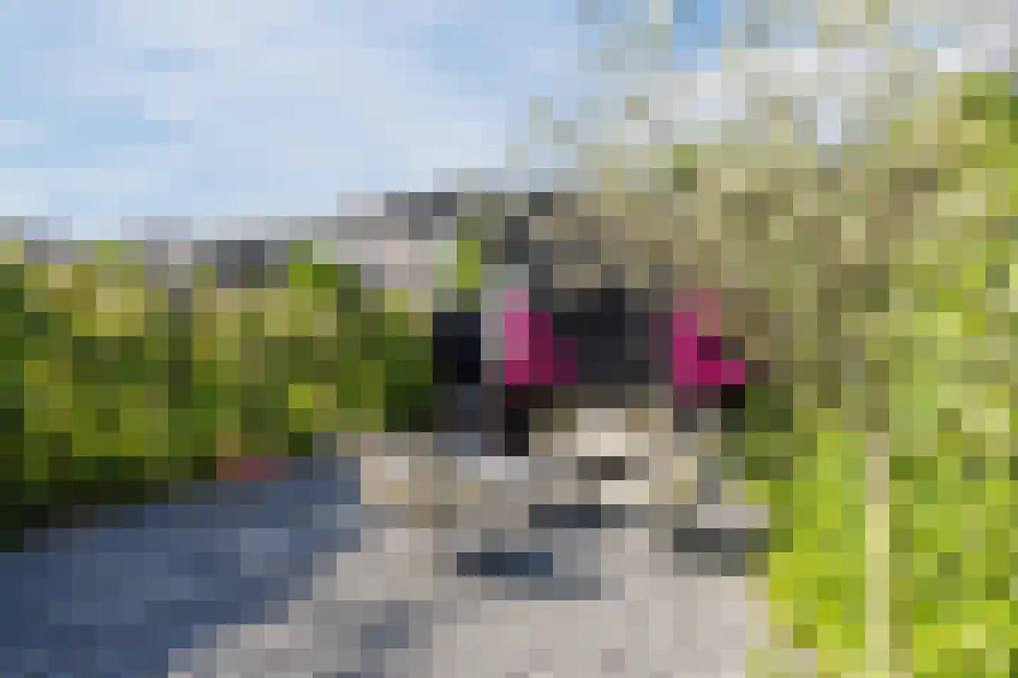 Spoorweghaven 202 Rotterdam thumbnail 6