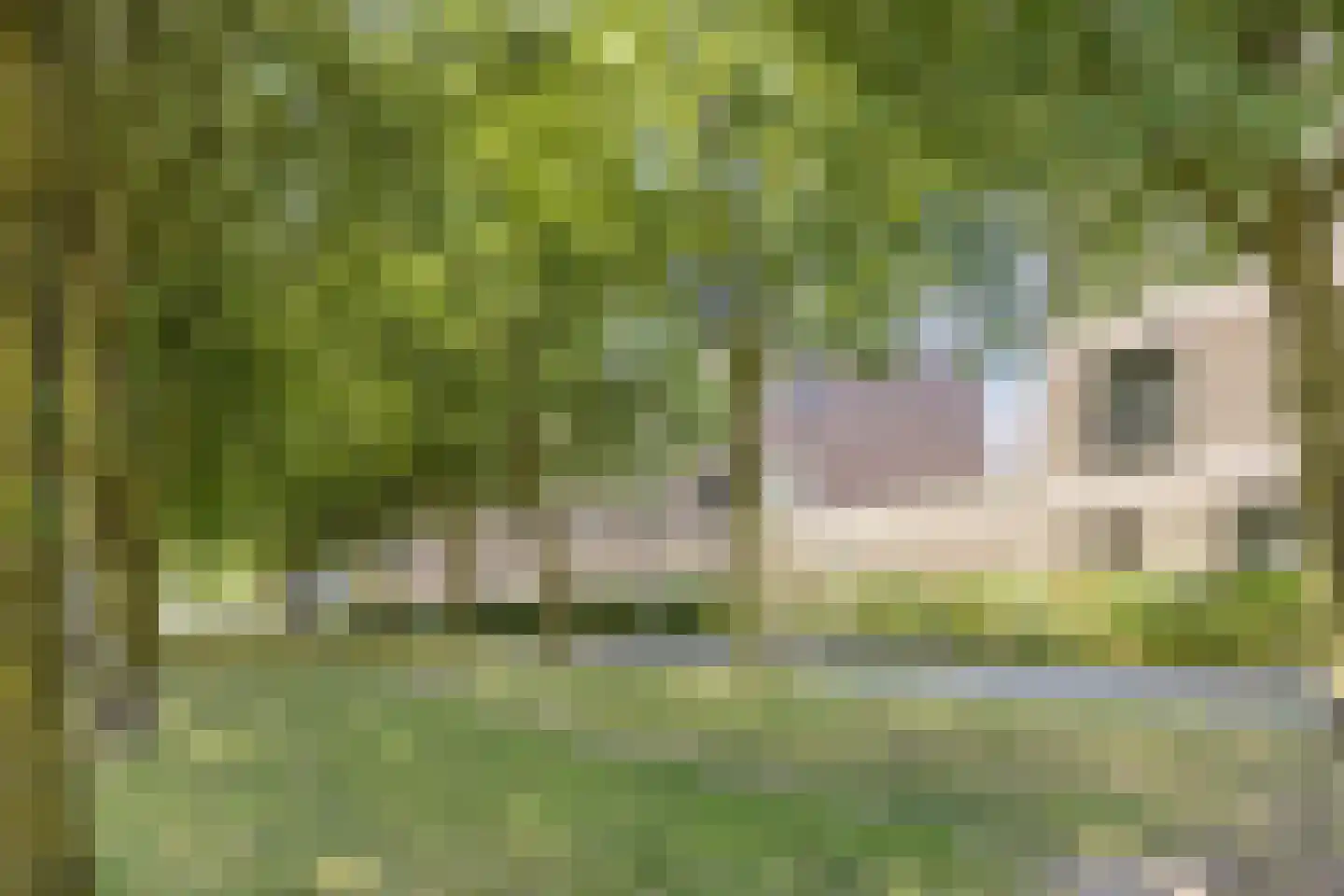 Spoorweghaven 202 Rotterdam thumbnail 7