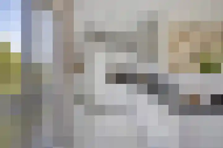 Spoorweghavenplein 2 Rotterdam thumbnail 14