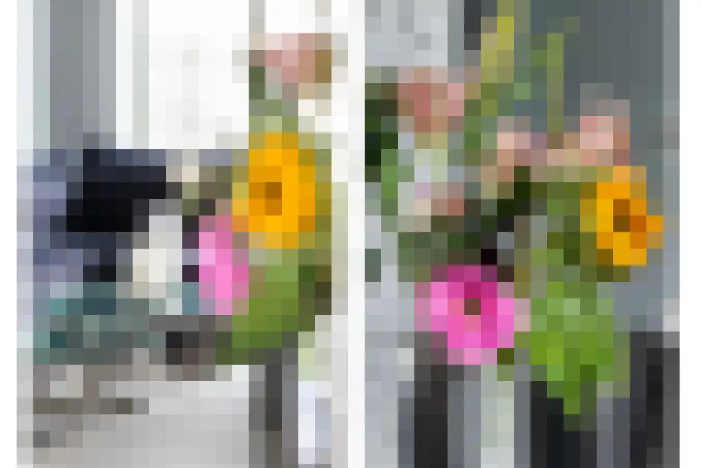 Spoorweghavenplein 4 Rotterdam thumbnail 5