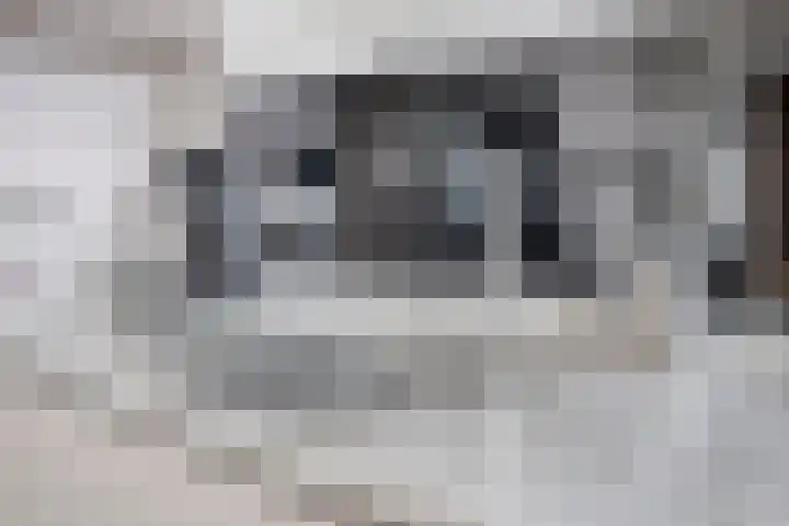 Spoorweglaan 3 B Best thumbnail 16