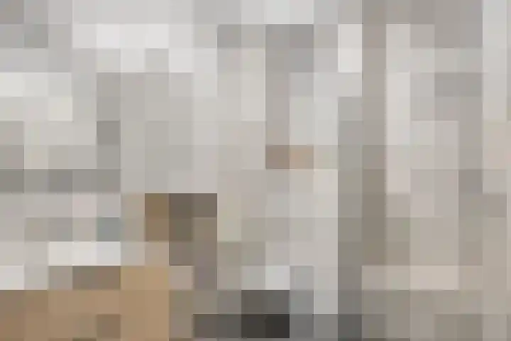 Spoorweglaan 3 B Best thumbnail 21