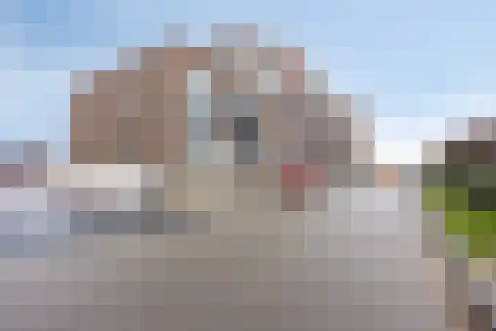Spoorweglaan 3 B Best thumbnail 22