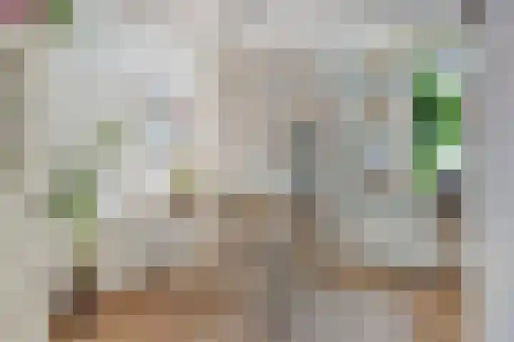 Spoorwegstraat 76 Arnhem thumbnail 8