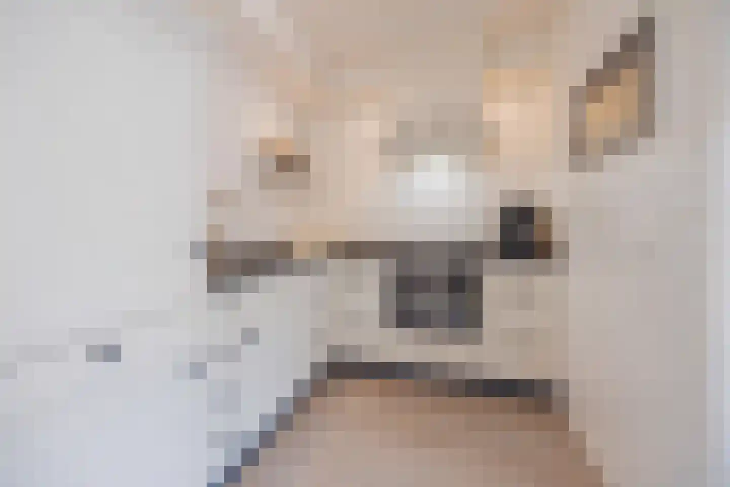 Spoorwiel 1 Raamsdonksveer thumbnail 17
