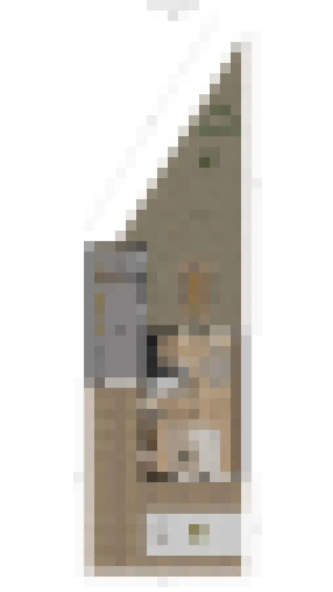 Spoorwiel 1 Raamsdonksveer thumbnail 36