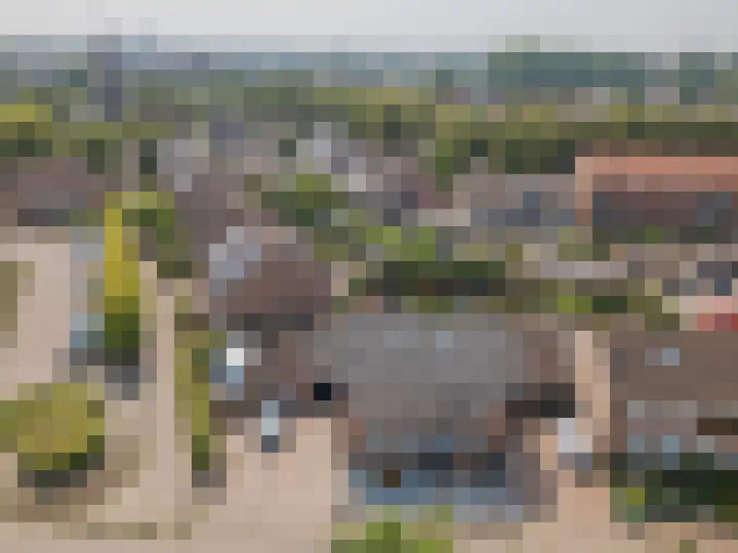 Spoorwiel 1 Raamsdonksveer thumbnail 8