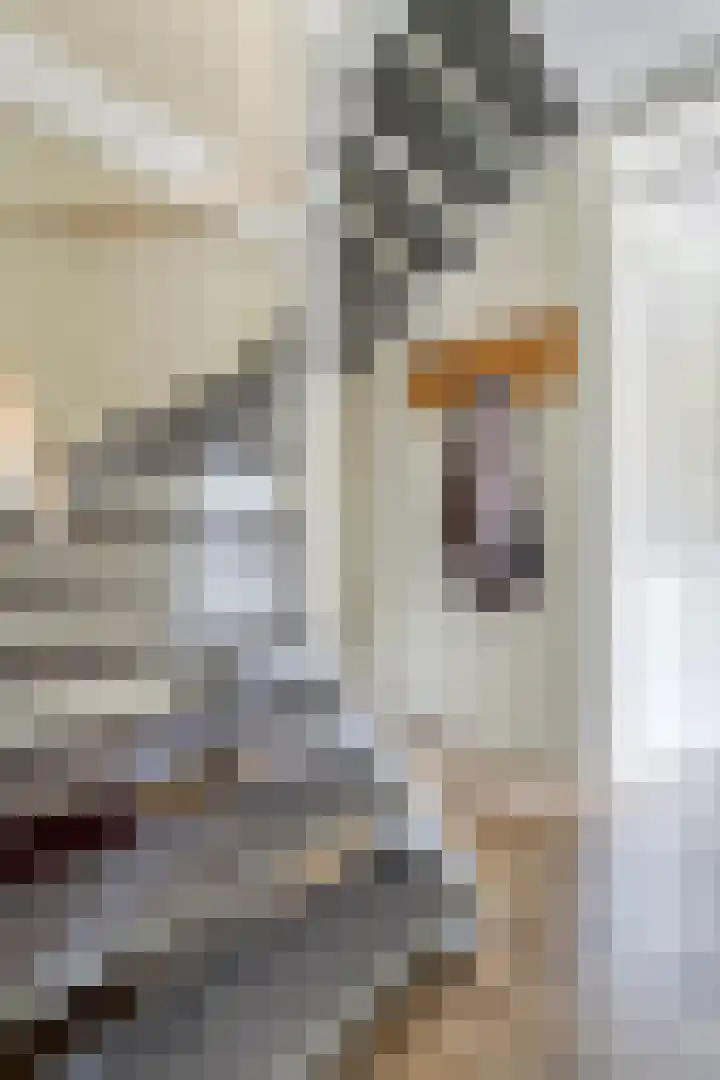 Spoorwiel 16 Lunteren thumbnail 18