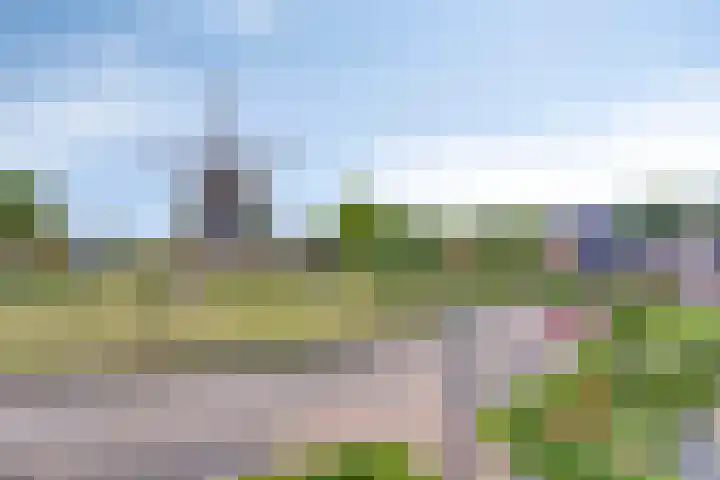 Spoorwiel 16 Lunteren thumbnail 26